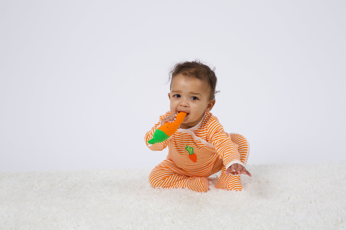 Carrot Veggie Toy