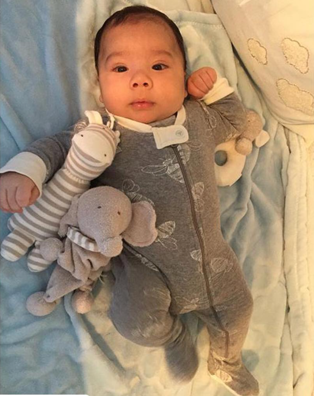 Ollie the Giraffe Toy