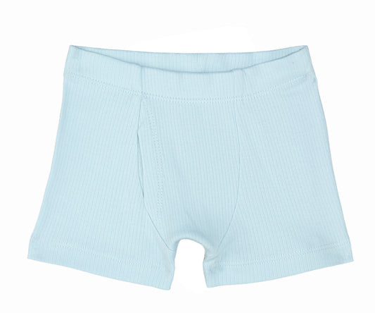 Boys Boxer Briefs - Drop Needle - Blue