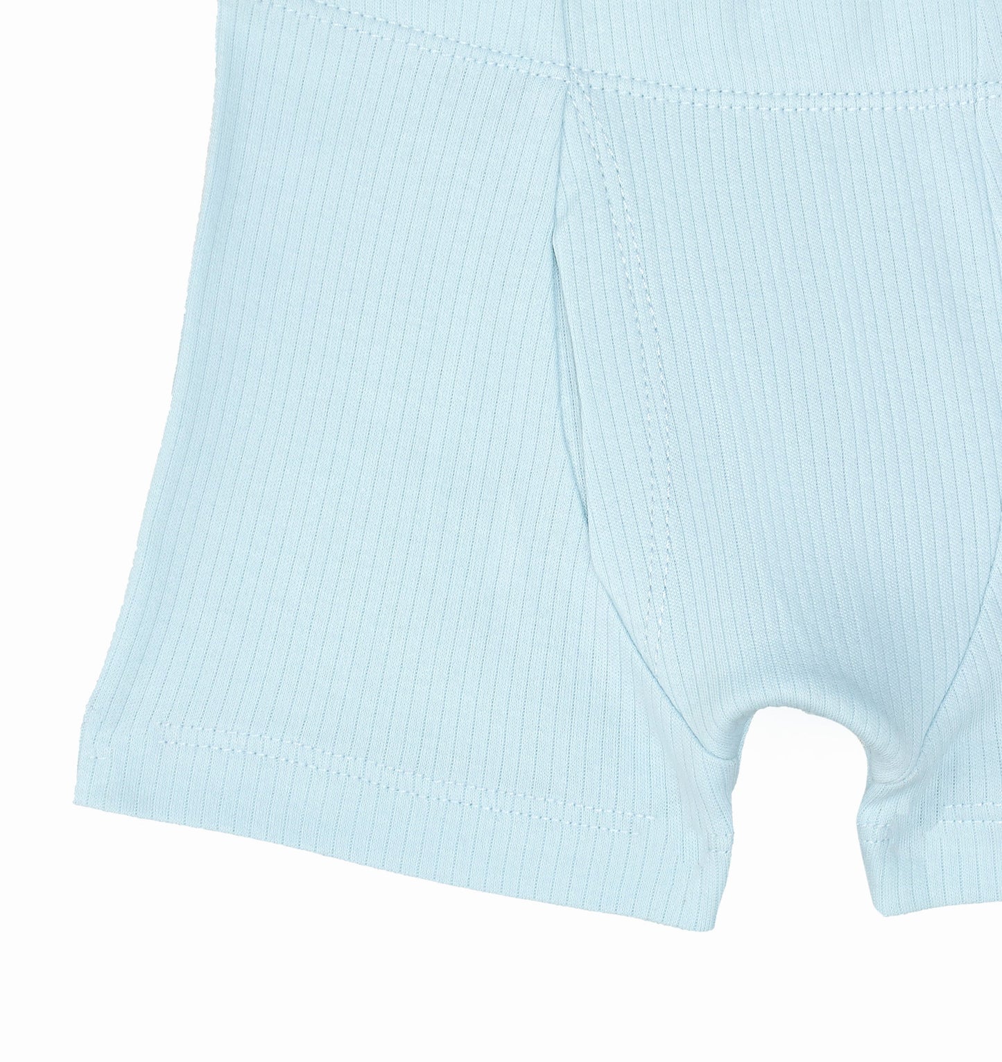 Boys Boxer Briefs - Drop Needle - Blue