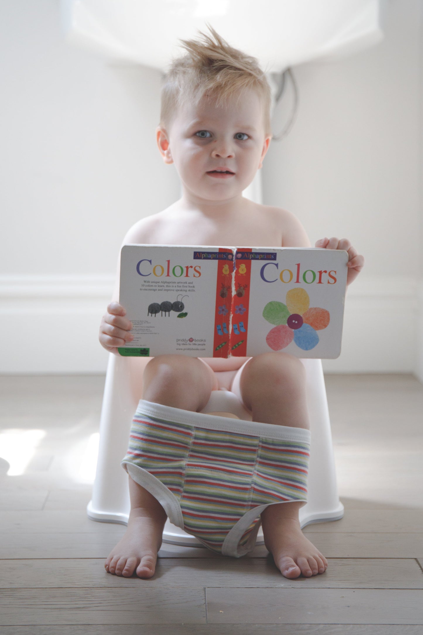 Potty Training Pants - Gray Ombre Stripe