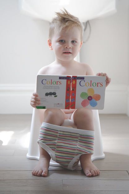 Potty Training Pants - Gray Ombre Stripe