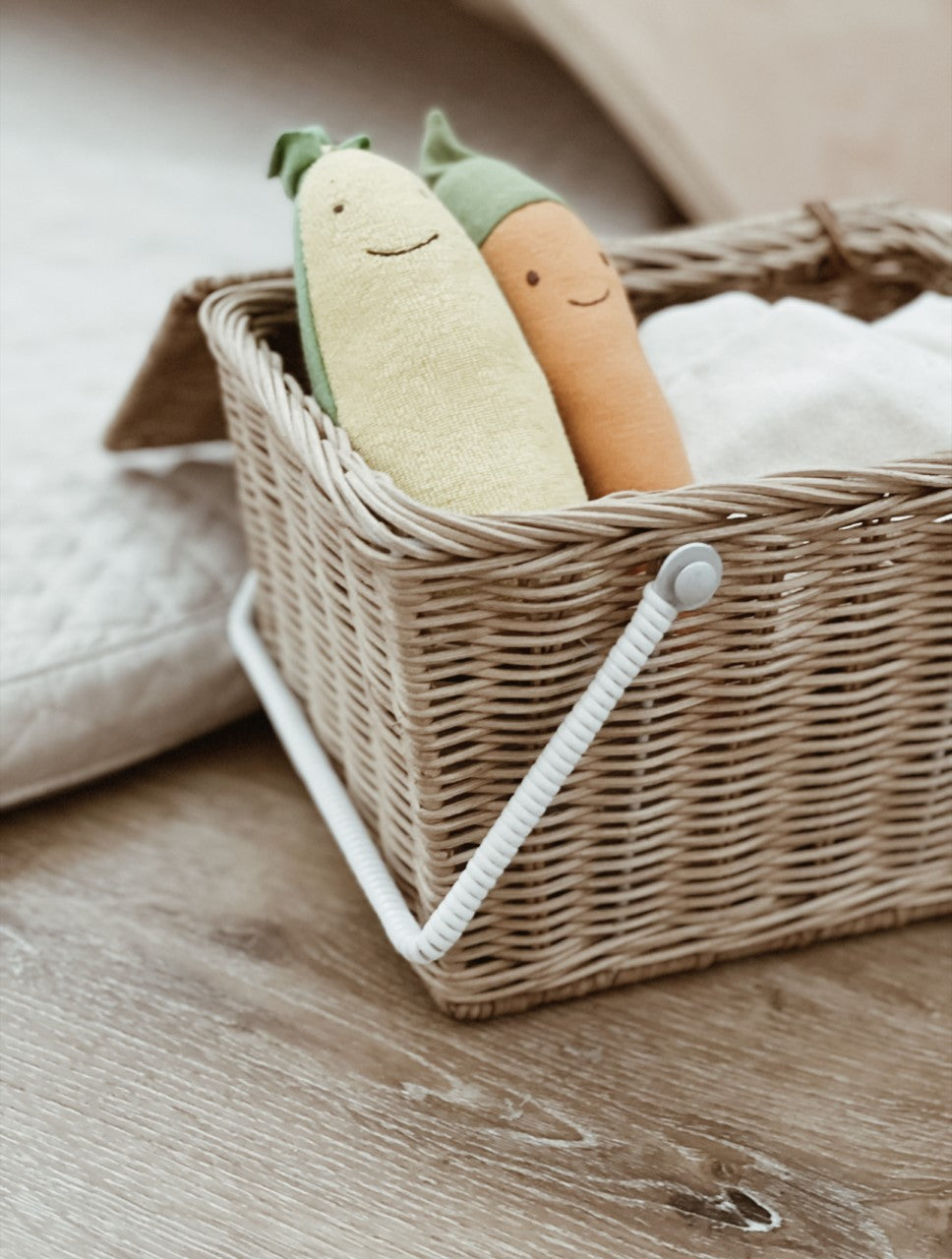 Carrot Veggie Toy